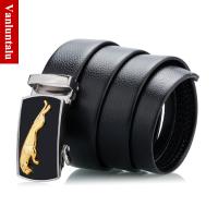 uploads/erp/collection/images/Belts/AYAPIJU/XU0783743/img_b/XU0783743_img_b_3