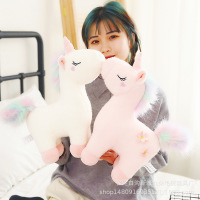 uploads/erp/collection/images/Toys/XUQY/XU0324862/img_b/img_b_XU0324862_3_MspJVRweZoPfSVgU1O3tNhLSk76f8MTp