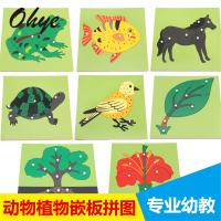 uploads/erp/collection/images/Toys/oujirui/XU0557116/img_b/XU0557116_img_b_1