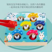 uploads/erp/collection/images/Toys/yunhezhiyou/XU0557746/img_b/XU0557746_img_b_4