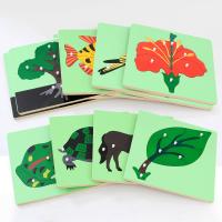 uploads/erp/collection/images/Toys/yunhezhiyou/XU0562902/img_b/XU0562902_img_b_1