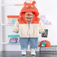 uploads/erp/collection/images/XU/XUQY/XU0535866/img_b/XU0535866_img_b_3