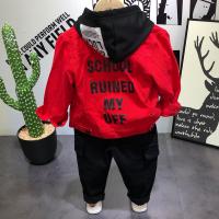uploads/erp/collection/images/XU/XUQY/XU0536015/img_b/XU0536015_img_b_2