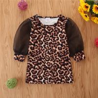 uploads/erp/collection/images/XU/XUQY/XU0538849/img_b/XU0538849_img_b_1