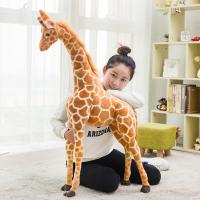 uploads/erp/collection/images/XU/XUQY/XU0570396/img_b/XU0570396_img_b_4