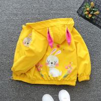 uploads/erp/collection/images/XU/XUQY/XU0598943/img_b/XU0598943_img_b_1