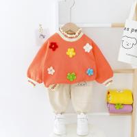 uploads/erp/collection/images/XU/XUQY/XU0608646/img_b/XU0608646_img_b_2