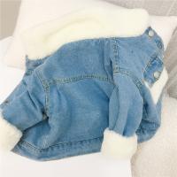 uploads/erp/collection/images/XU/XUQY/XU0608808/img_b/XU0608808_img_b_5