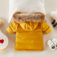 uploads/erp/collection/images/XU/XUQY/XU0609204/img_b/XU0609204_img_b_2