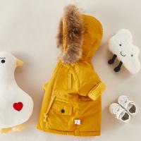uploads/erp/collection/images/XU/XUQY/XU0609204/img_b/XU0609204_img_b_4