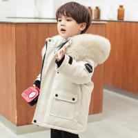uploads/erp/collection/images/XU/XUQY/XU0609238/img_b/XU0609238_img_b_1