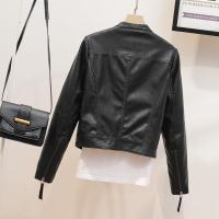 uploads/erp/collection/images/XU/XUQY/XU0640484/img_b/XU0640484_img_b_2