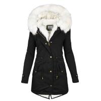 uploads/erp/collection/images/XU/XUQY/XU0646173/img_b/XU0646173_img_b_2