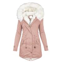 uploads/erp/collection/images/XU/XUQY/XU0646173/img_b/XU0646173_img_b_4