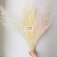 uploads/erp/collection/images/XU/XUQY/XU11790353/img_b/XU11790353_img_b_2
