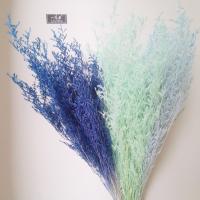 uploads/erp/collection/images/XU/XUQY/XU11790353/img_b/XU11790353_img_b_3