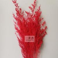 uploads/erp/collection/images/XU/XUQY/XU11790353/img_b/XU11790353_img_b_4
