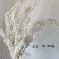 XU15790378