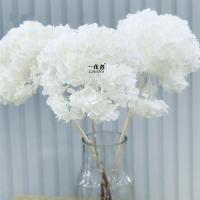 uploads/erp/collection/images/XU/XUQY/XU15790378/img_b/XU15790378_img_b_1
