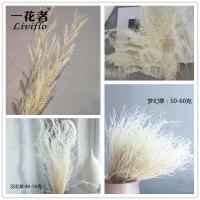uploads/erp/collection/images/XU/XUQY/XU15790378/img_b/XU15790378_img_b_2