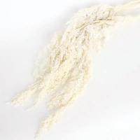 uploads/erp/collection/images/XU/XUQY/XU15790378/img_b/XU15790378_img_b_5