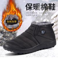 uploads/erp/collection/images/XU/XUQY/XU24814084/img_b/XU24814084_img_b_1