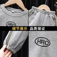 uploads/erp/collection/images/XU/XUQY/XU37810737/img_b/XU37810737_img_b_5