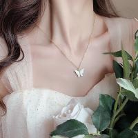 uploads/erp/collection/images/XU/XUQY/XU44807378/img_b/XU44807378_img_b_1