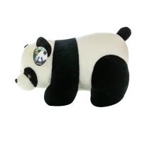 uploads/erp/collection/images/XU/XUQY/XU64820354/img_b/XU64820354_img_b_5