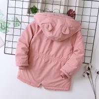 uploads/erp/collection/images/XU/XUQY/XU66794617/img_b/XU66794617_img_b_4