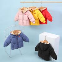 uploads/erp/collection/images/XU/XUQY/XU66813761/img_b/XU66813761_img_b_1