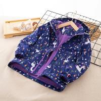 uploads/erp/collection/images/XU/XUQY/XU80794327/img_b/XU80794327_img_b_2