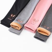 uploads/erp/collection/images/XU/XUQY/XU84814048/img_b/XU84814048_img_b_1