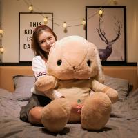 uploads/erp/collection/images/XU/XUQY/XU84819038/img_b/XU84819038_img_b_5