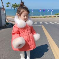 uploads/erp/collection/images/XU/XUQY/XU86794896/img_b/XU86794896_img_b_4