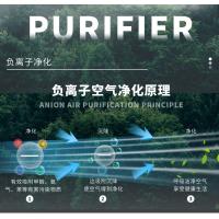 uploads/erp/collection/images/XU/XUQY/XU89814932/img_b/XU89814932_img_b_3